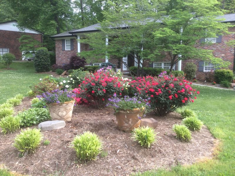 7908 Castlecomb Rd, Powell, TN 37849