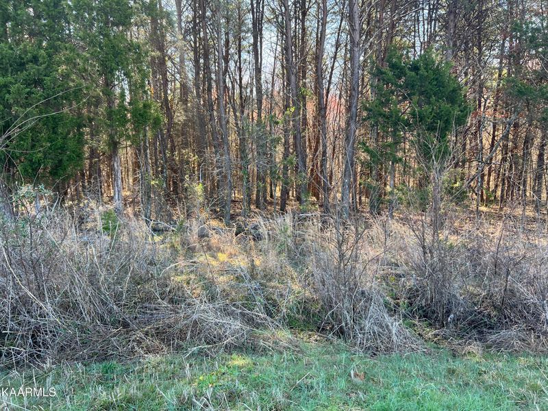 7935 Highway 411 S, Greenback, TN 37742