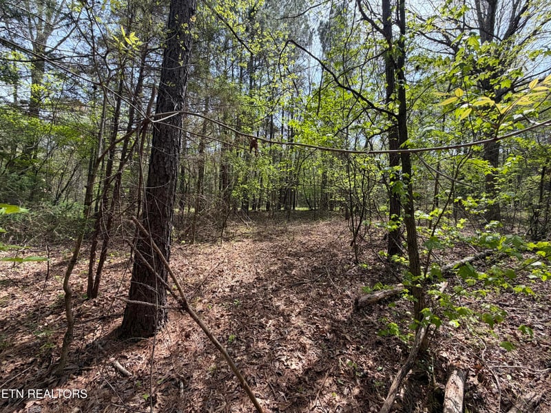 7936 Dry Valley Rd, Loudon, TN 37774