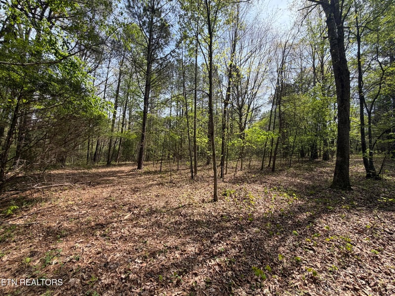 7936 Dry Valley Rd, Loudon, TN 37774