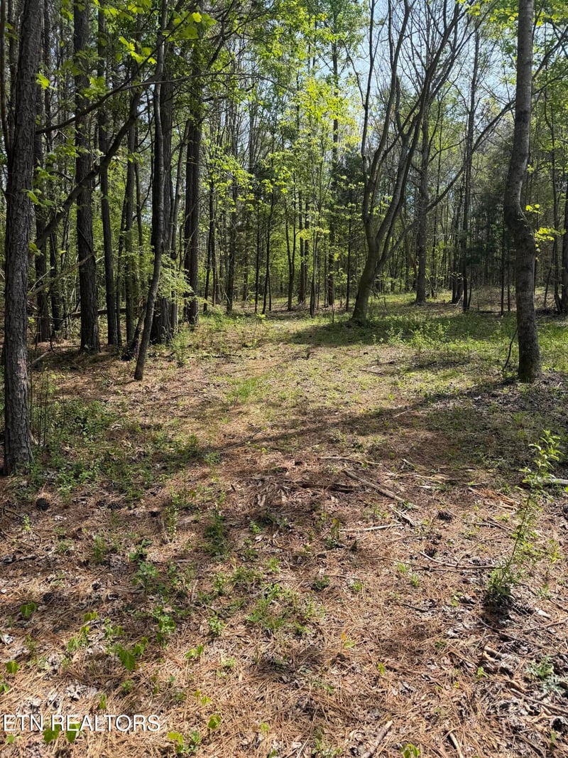 7936 Dry Valley Rd, Loudon, TN 37774