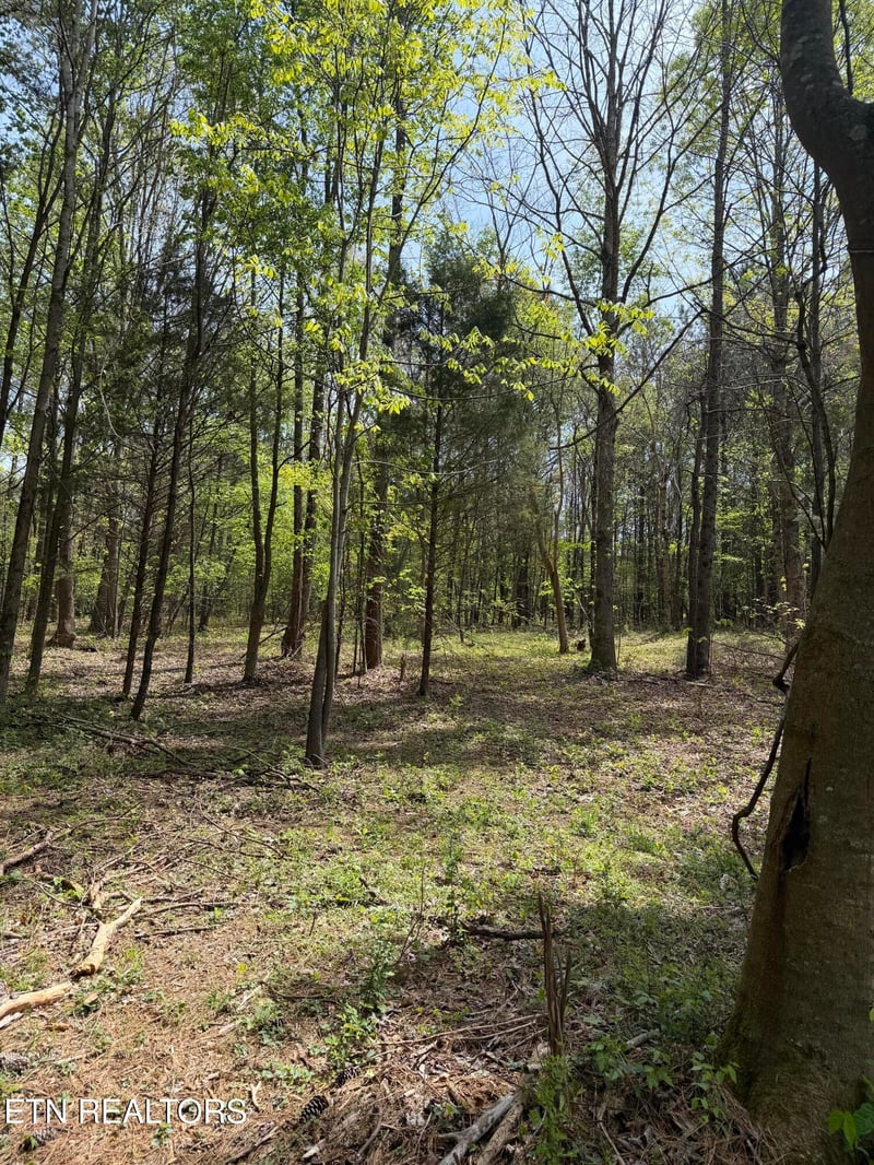 7936 Dry Valley Rd, Loudon, TN 37774