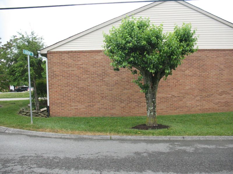 7937 Dighton Way, Powell, TN 37849