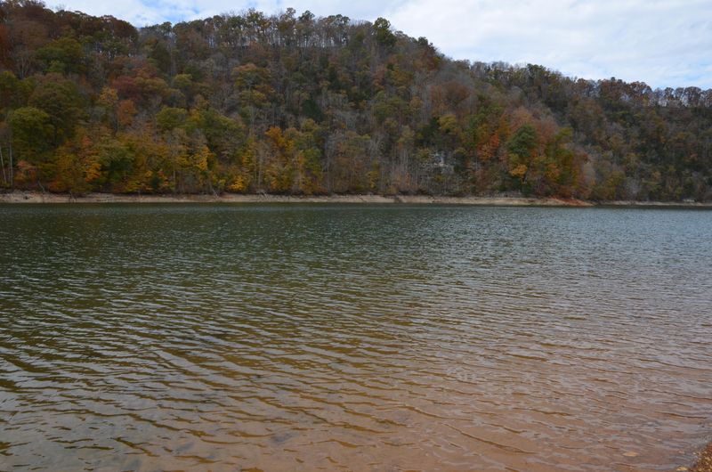 795 Fox Ridge Ln, Caryville, TN 37714