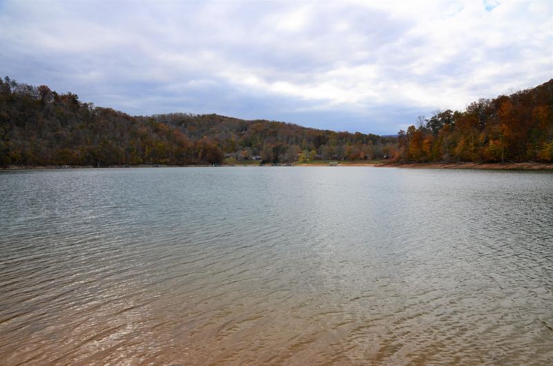 795 Fox Ridge Ln, Caryville, TN 37714