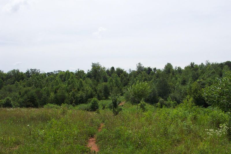 8.0 Acres County Road 750, Athens, TN 37303
