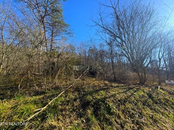 8.30 acres Wolfenbarger Ln, Luttrell, TN 37779