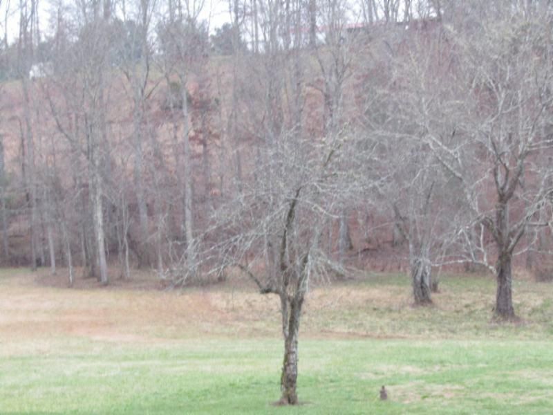 8.72ac State Route 52, Robbins, TN 37852