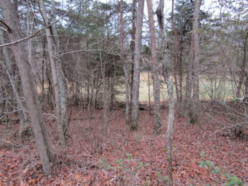 8.72ac State Route 52, Robbins, TN 37852