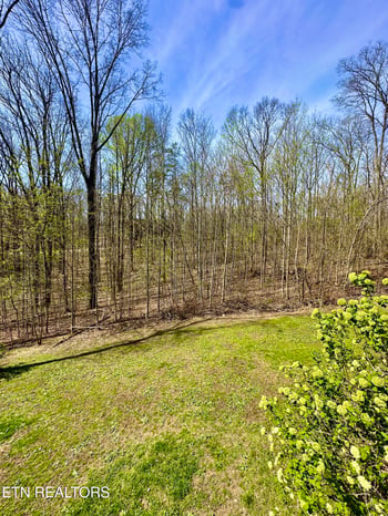 80 Upper Eagles Nest Rd, Crab Orchard, TN 37723