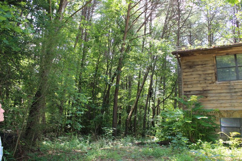 8014 Washington Pike, Corryton, TN 37721
