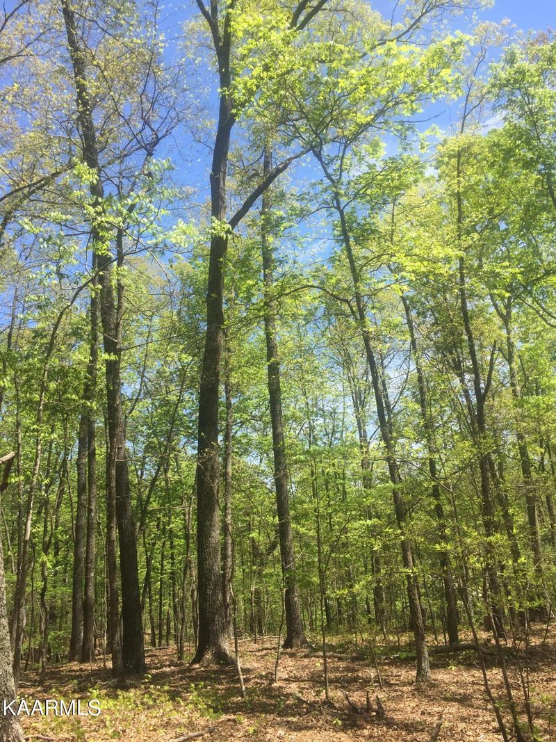 8026 Davis Ferry Rd, Loudon, TN 37774