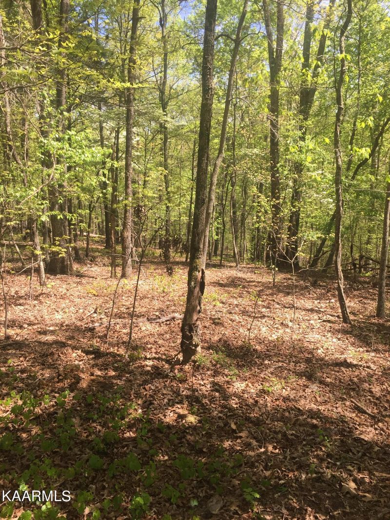 8026 Davis Ferry Rd, Loudon, TN 37774