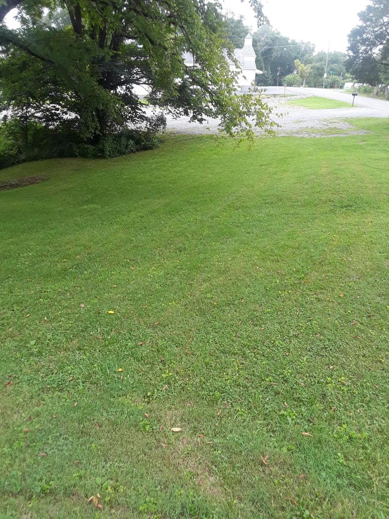 8027 Clapps Chapel Rd, Corryton, TN 37721