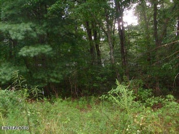 8029 Saratoga Dr, Crossville, TN 38572