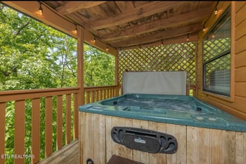 803 Sunrise Blvd, Sevierville, TN 37862