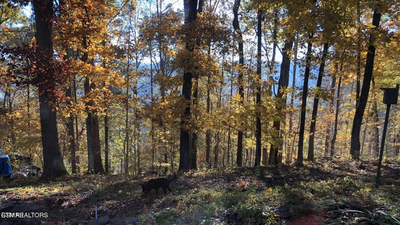 804 S Shiloh Rd, Seymour, TN 37865