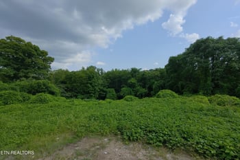 805 Beaman Lake Rd, Knoxville, TN 37914