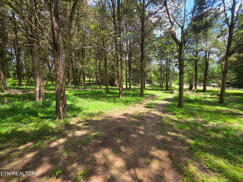 8050 Lett Rd, Corryton, TN 37721