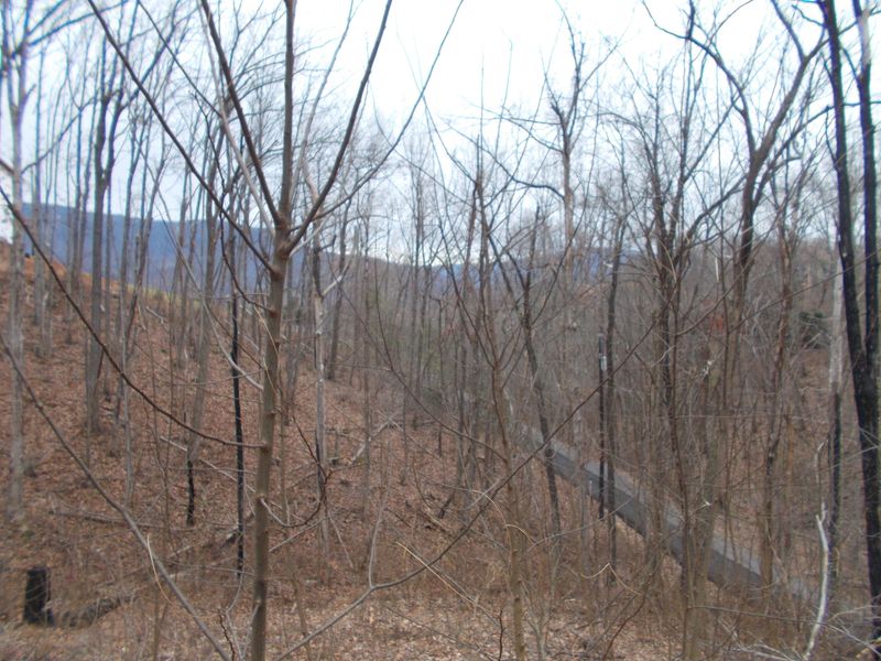 806 Red Fox Tr, Gatlinburg, TN 37738