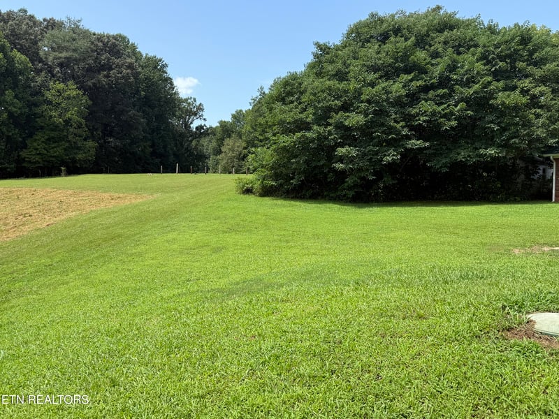 807 New Clear Branch Rd, Rocky Top, TN 37769