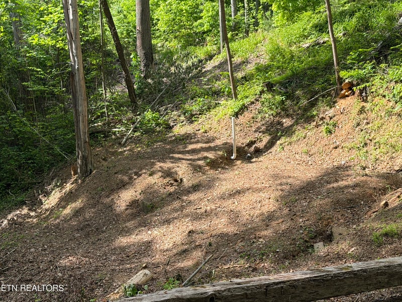 807 Old New Ground Rd, Gatlinburg, TN 37738