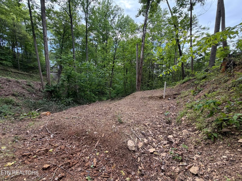 807 Old New Ground Rd, Gatlinburg, TN 37738