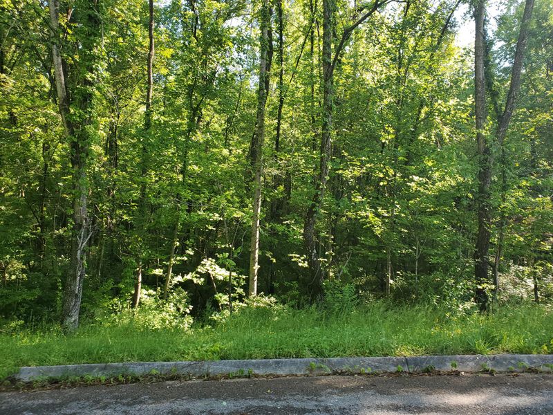 8070 W Pointe Dr, Talbott, TN 37877