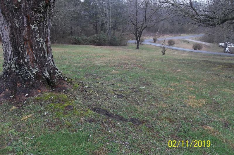 808 Bob Armes Cir, Wartburg, TN 37887
