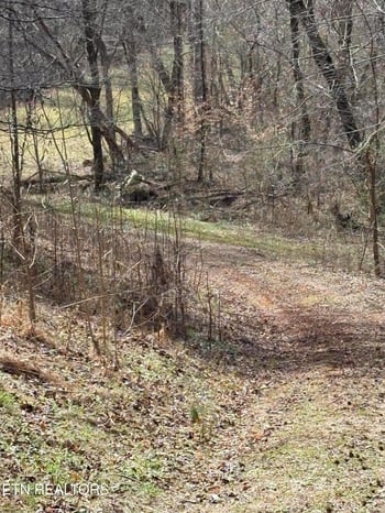 809 State Highway 310, Englewood, TN 37329
