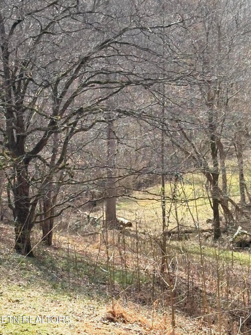 809 State Highway 310, Englewood, TN 37329