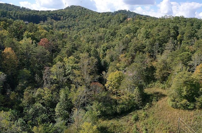 810 Pine Mountain Rd, Pigeon Forge, TN 37863