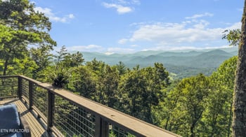 811 Christy Ln, Townsend, TN 37882