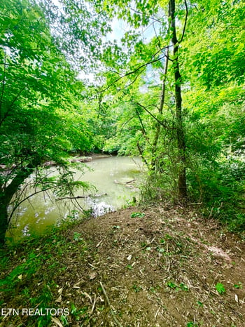 811 Trigonia Rd, Maryville, TN 37801