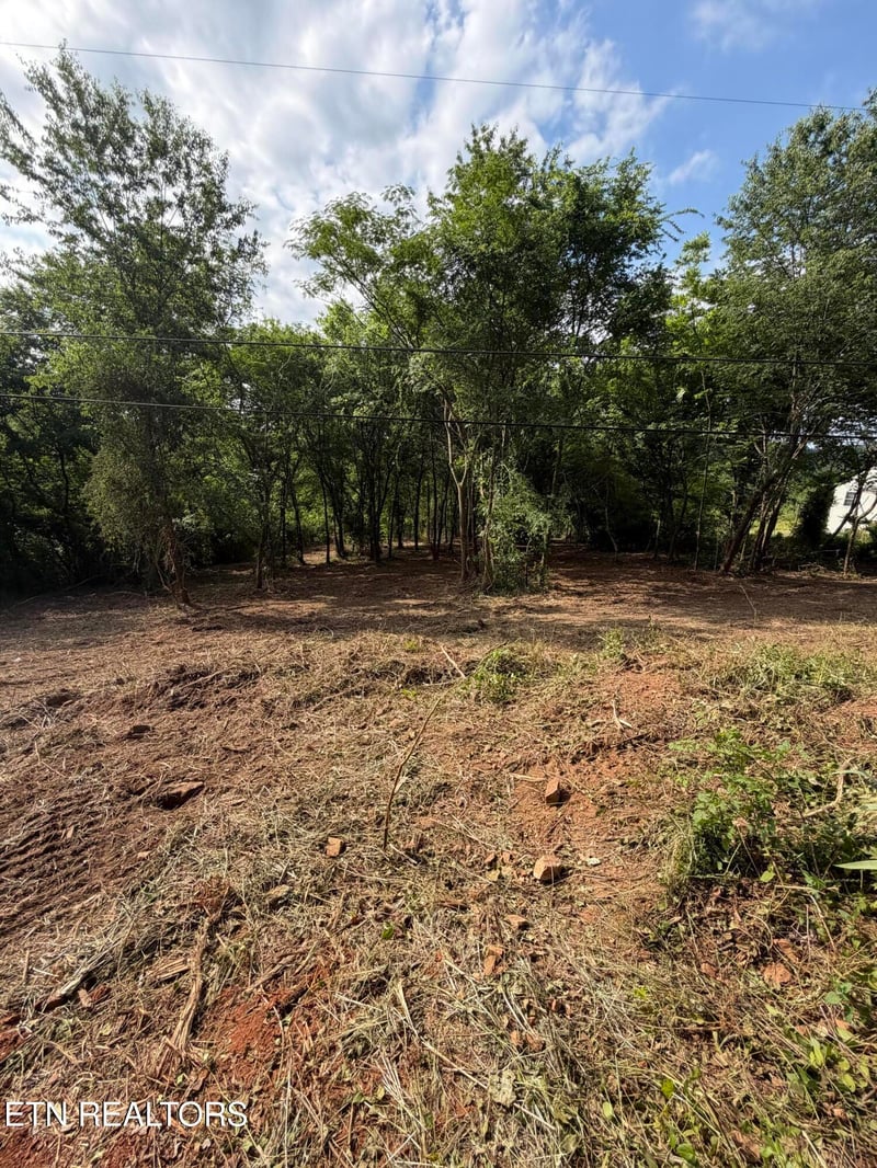 811 Trigonia Rd, Maryville, TN 37801