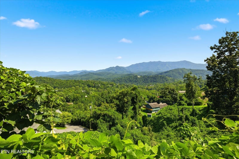 812 Beanstalk Ct, Gatlinburg, TN 37738