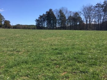 812 Randles Rd, Strawberry Plains, TN 37871