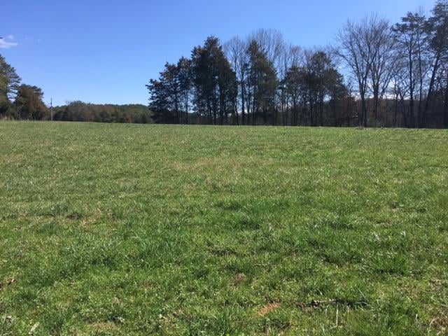 812 Randles Rd, Strawberry Plains, TN 37871
