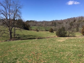 812 Randles Rd, Strawberry Plains, TN 37871