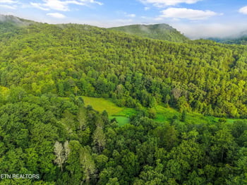 813 Steer Creek Rd, Tellico Plains, TN 37385