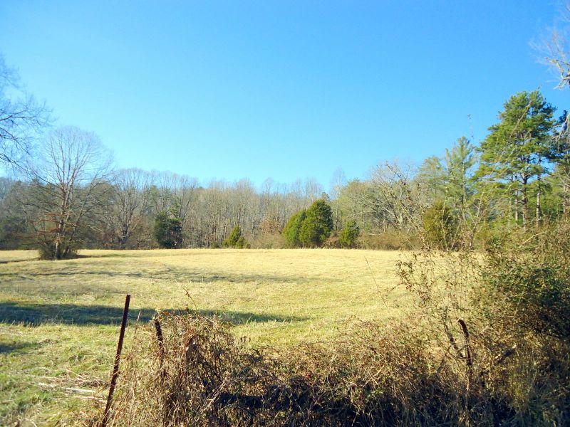 8130 Calloway Rd, Philadelphia, TN 37846