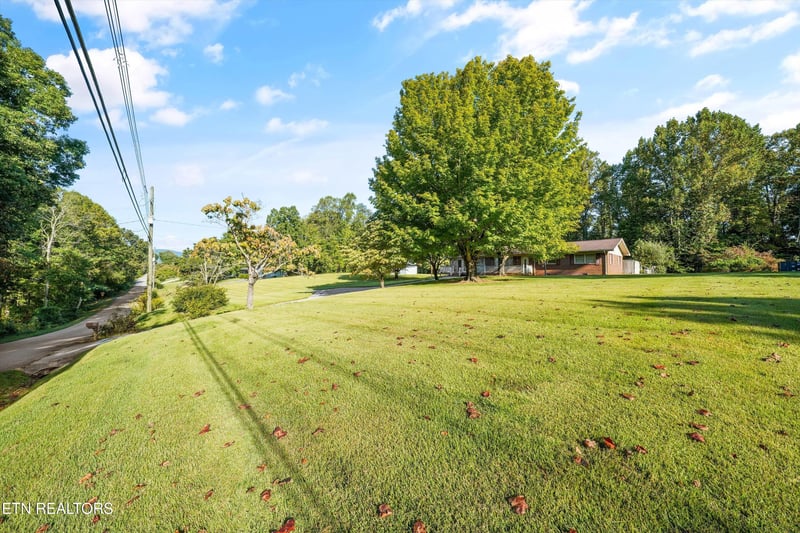 813815 Stephens Rd, Rocky Top, TN 37769