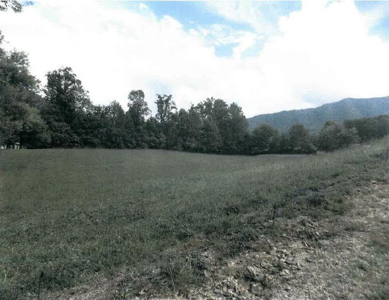 814 Cavern Rd, Townsend, TN 37882