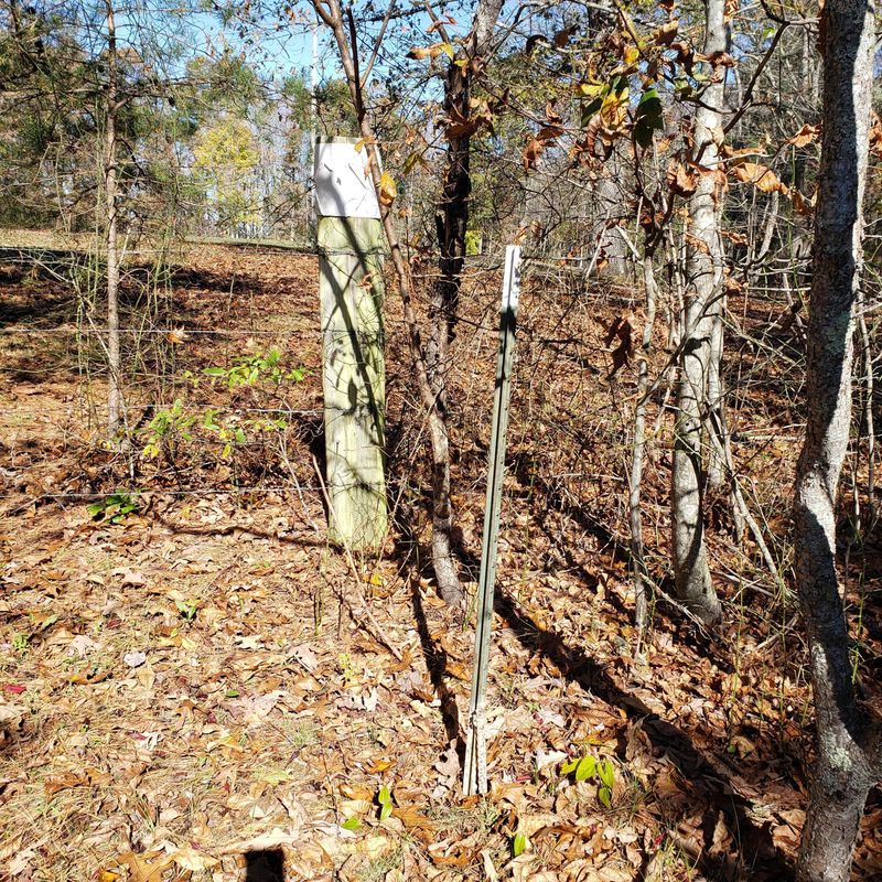 814 Christenson Rd, Deer Lodge, TN 37726