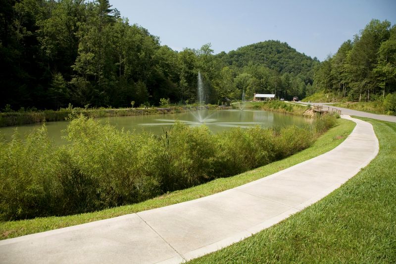 815 Tanasi Tr, Townsend, TN 37882