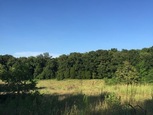 816 Cedar Grove Rd, Loudon, TN 37774
