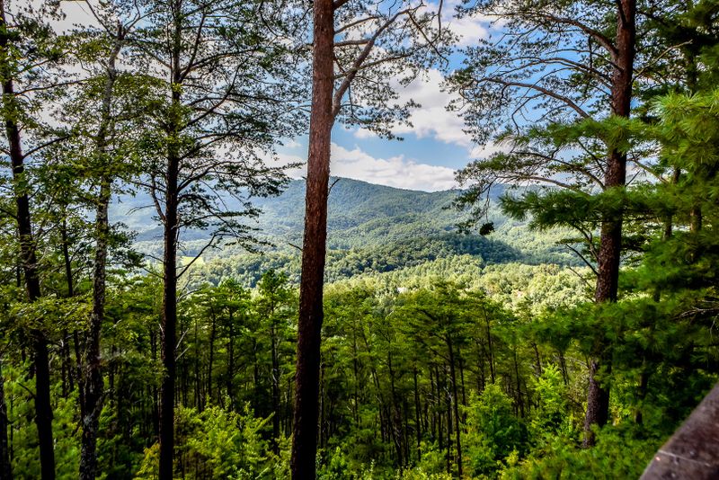 817 Christy Ln, Townsend, TN 37882