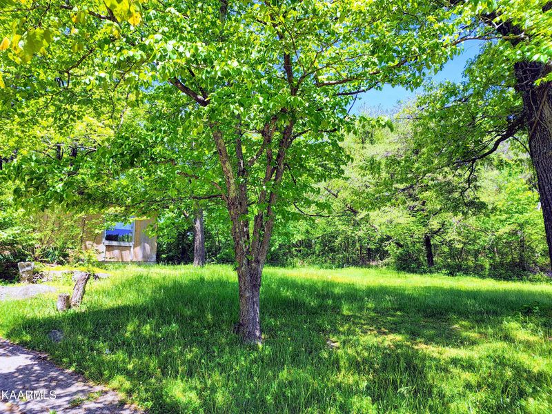 818 Main St, Crab Orchard, TN 37723