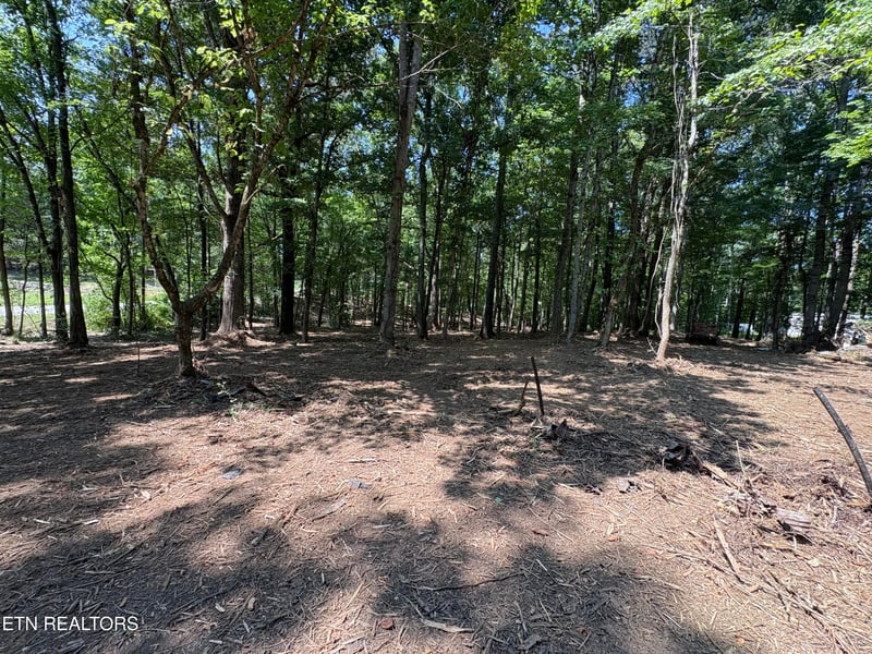 8188 E Town Creek Rd, Lenoir City, TN 37772