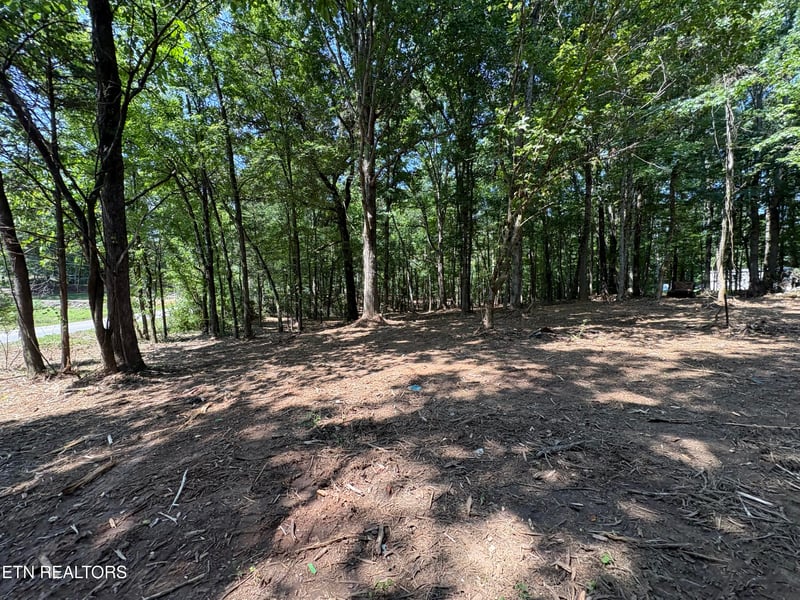 8188 E Town Creek Rd, Lenoir City, TN 37772